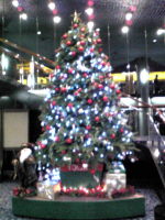f0065954_2321666.jpg