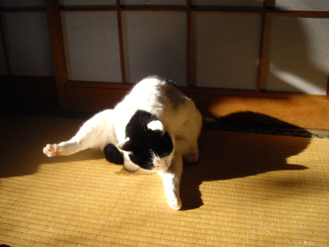 d0116059_1132787.jpg
