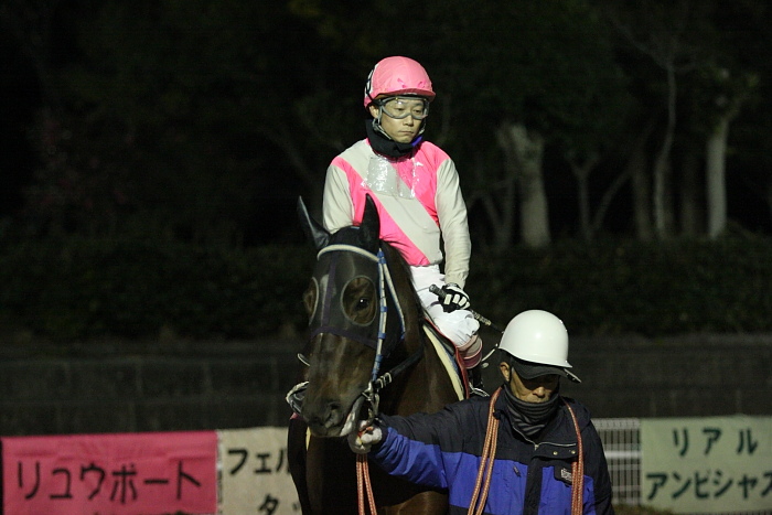 2009年12月19日（土） 高知競馬 5R 土佐日記紀行特別 E1 選抜馬_a0077663_4431795.jpg