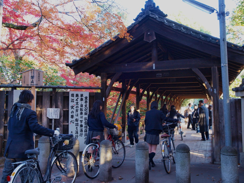 朝の東福寺参道_c0218766_12445325.jpg