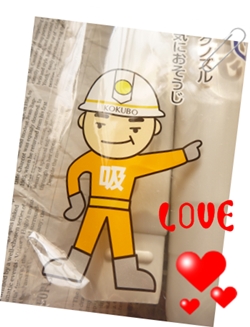 セリアで見つけた トイレマットと隙間ガードシート 100yen Zakka