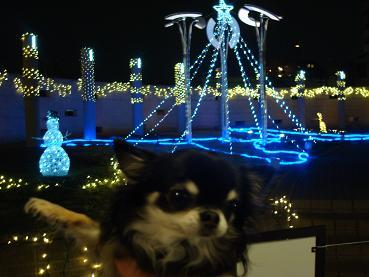 MERRY CHRISTMAS:*:・\"★、。・:♪~☆_d0006467_22344484.jpg