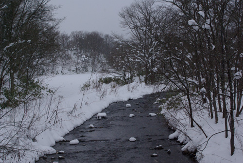 White Christmas in Hokkaido_e0167571_23384749.jpg