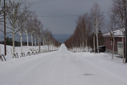 White Christmas in Hokkaido_e0167571_23402081.jpg