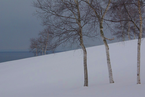 White Christmas in Hokkaido_e0167571_23451314.jpg