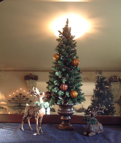 メリークリスマス~♪_f0029571_20234788.jpg