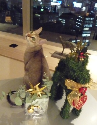 Joyeux Noel! メリークリスマス!_a0138976_18245739.jpg
