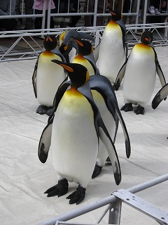 e0184077_045717.jpg