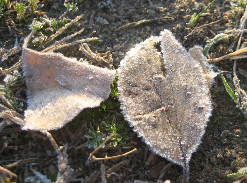 b0057679_8562411.jpg