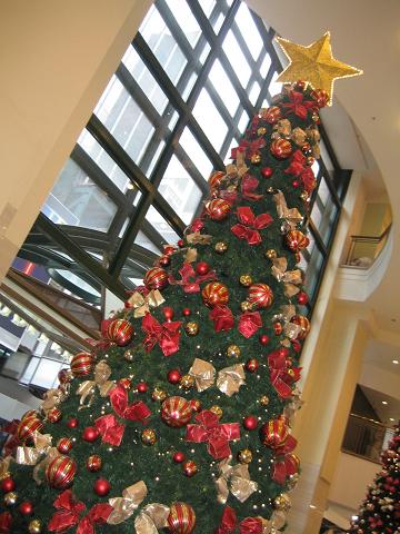 e0126680_134817.jpg