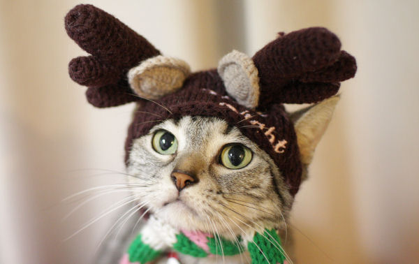 ☆Happy Christmas*・゜゚・*:.。..。.:*_d0058182_194962.jpg
