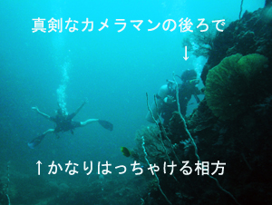 ぴぴっとピピ島!_f0144385_5132588.jpg