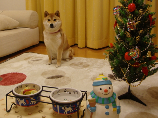イブの夜にはケーキ!!_a0126590_23553747.jpg