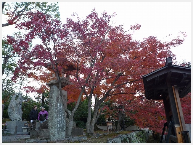 京都・紅葉の旅　Vol.3 ～嵐山へ～　_a0119391_1711912.jpg