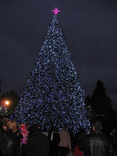 クリスマスは遺跡見学に！_c0010496_7155441.jpg