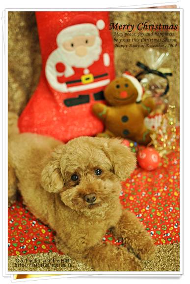 ☆ Merry Christmas ☆_c0215296_31115.jpg