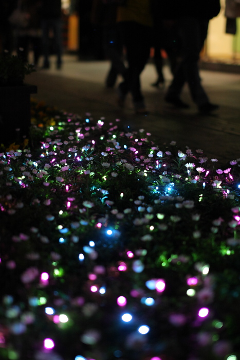 光都東京・LIGHTOPIA 2_c0197000_20572137.jpg