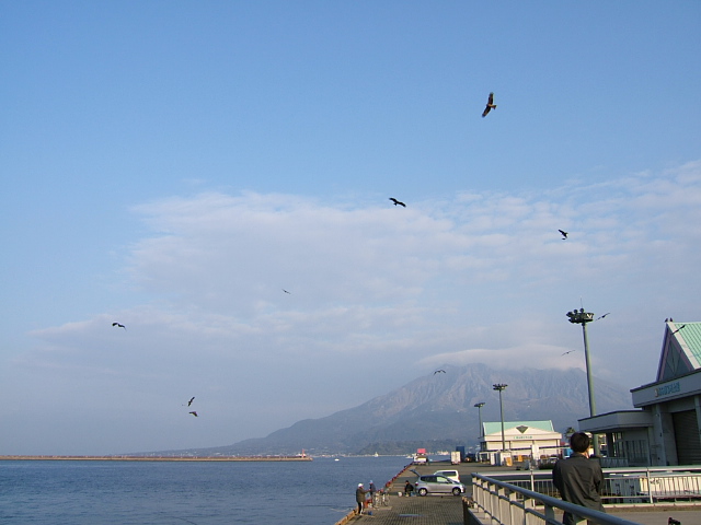 c0037701_126266.jpg