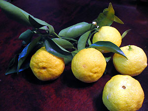 e0118904_220822.jpg