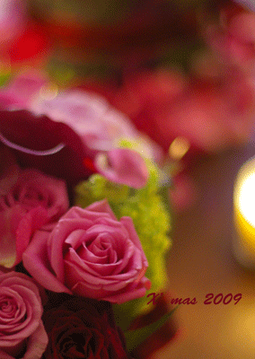 b0111306_2234526.gif