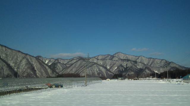 快晴です!_d0099708_15402528.jpg