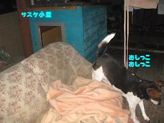 d0104209_2324879.jpg