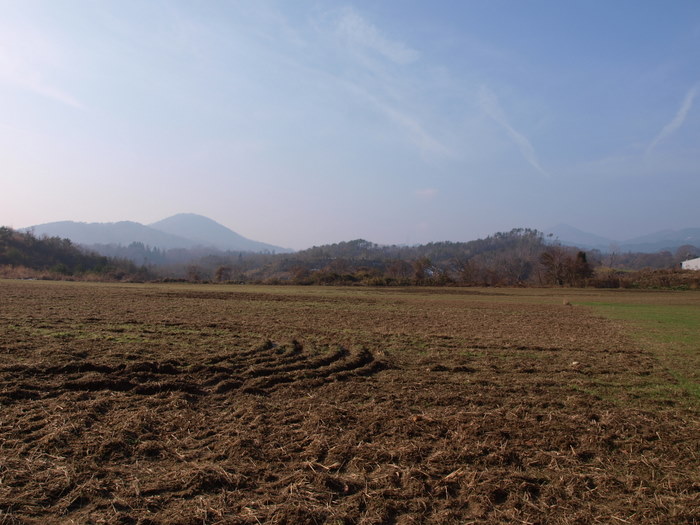 今日の阿弥陀山と砂谷牧場付近_c0116915_188113.jpg