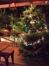 メリークリスマス_a0043520_103110.jpg
