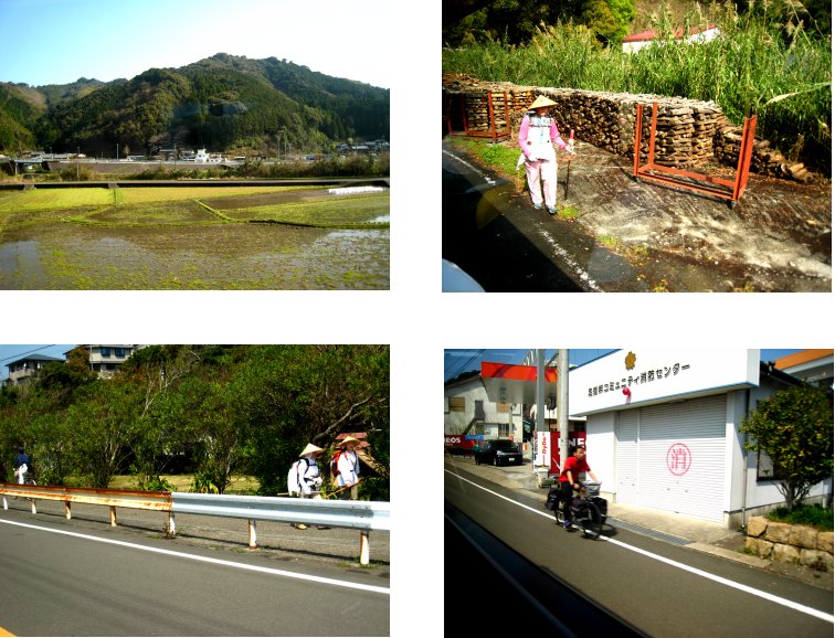 土佐・阿波編(5):足摺岬へ(09.3)_c0051620_6121125.jpg