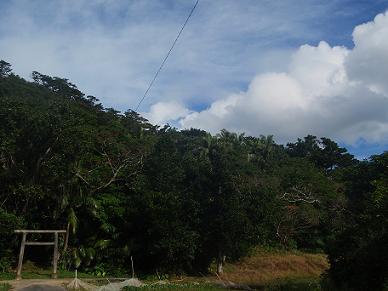 a0147023_0442116.jpg