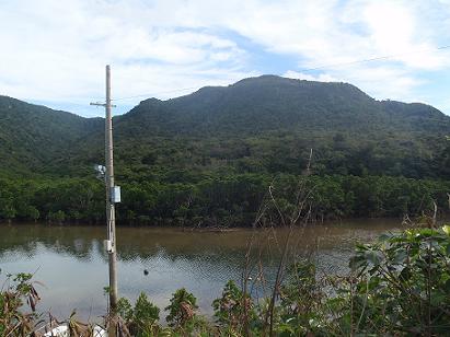 a0147023_0482467.jpg