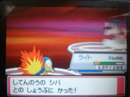 ポケットモンスターハートゴールドプレイ日記 レベル上げ ポケットモンスターハートゴールドプレイ日記 レベル上げ
