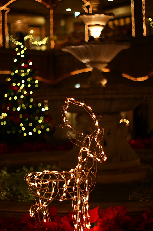 Happy Merry Christmas!!!_f0105425_9342621.jpg