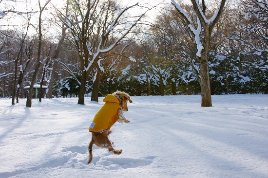 雪遊び♪_f0046128_735121.jpg