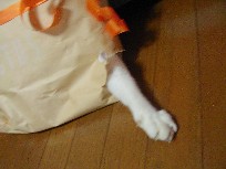 f0002833_23213832.jpg