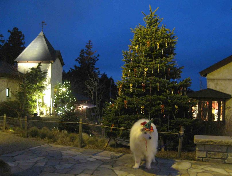 六甲山でクリスマス♪_b0177436_23101498.jpg