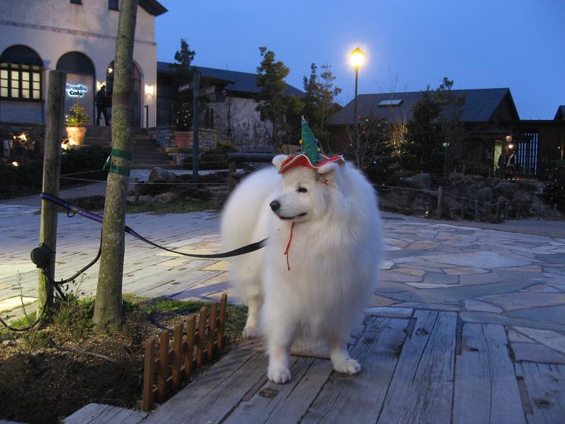 六甲山でクリスマス♪_b0177436_23122378.jpg