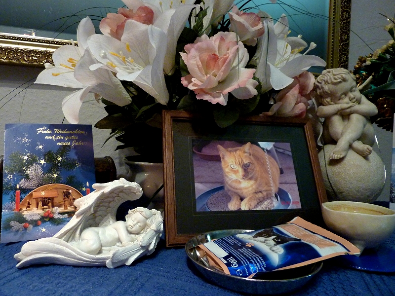 Frohe Weihnachten フローエ ヴァイナハテン メリークリスマス エルザのお部屋 Willkommen Bei Meinem Blog