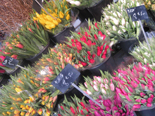 f0134642_124162.gif