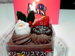 メリークリスマス(~o~)_d0051146_1051238.jpg