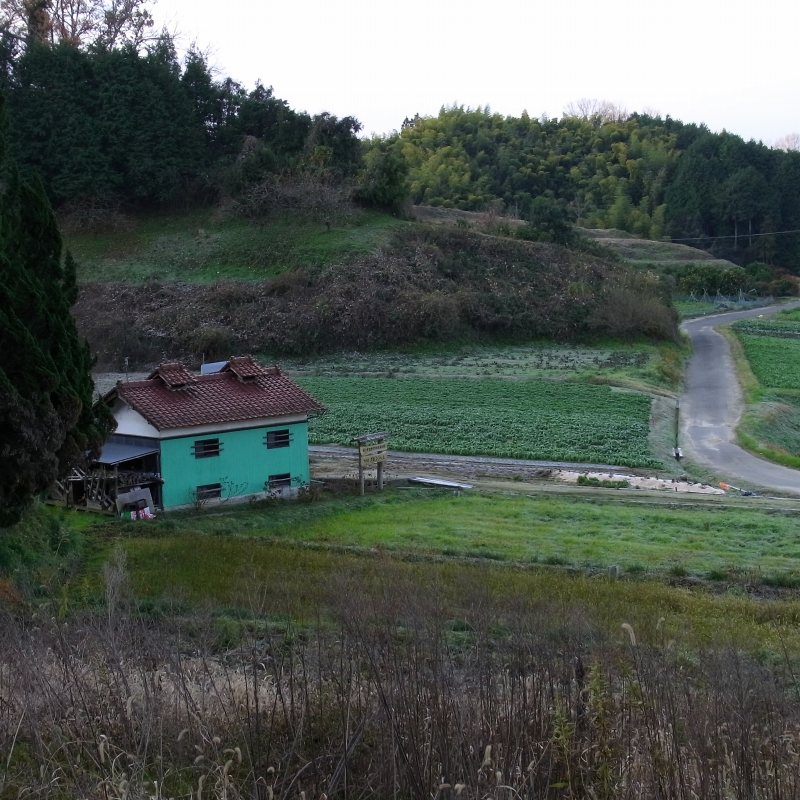 b0147449_17253478.jpg
