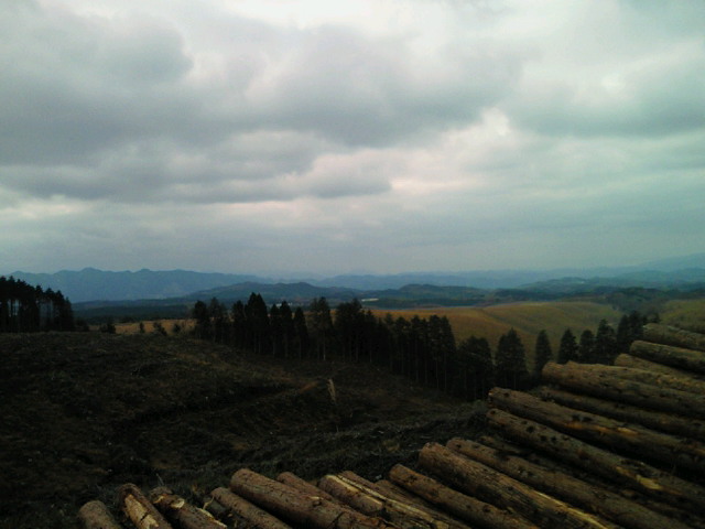 c0218451_1272878.jpg