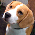 b0005652_22445949.gif