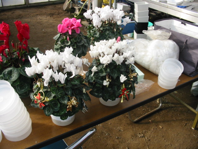 f0122259_0114532.jpg