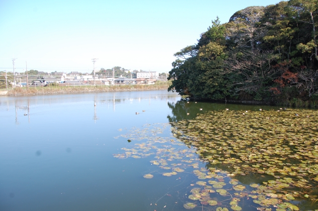 古墳めぐり　＆　水鳥観察_c0108460_1321536.jpg