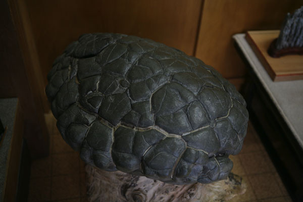 f0142070_21393100.jpg