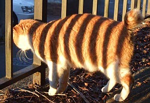 c0182180_204515.jpg