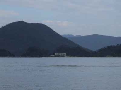 ふえ~ん、痛いよー(涙)_e0028387_2230131.jpg