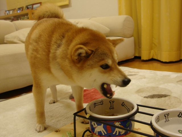 イブの夜にはケーキ!!_a0126590_0202445.jpg