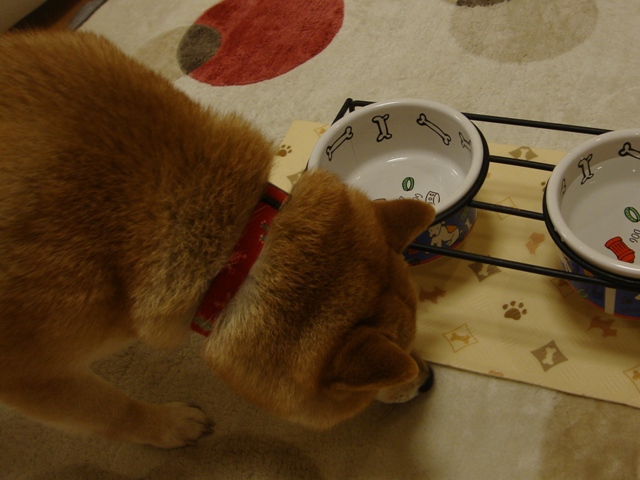 イブの夜にはケーキ!!_a0126590_0203946.jpg